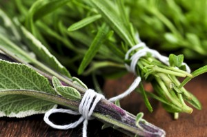 Bunches of fresh herbs